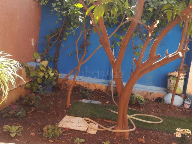 Villa vente à Mellal