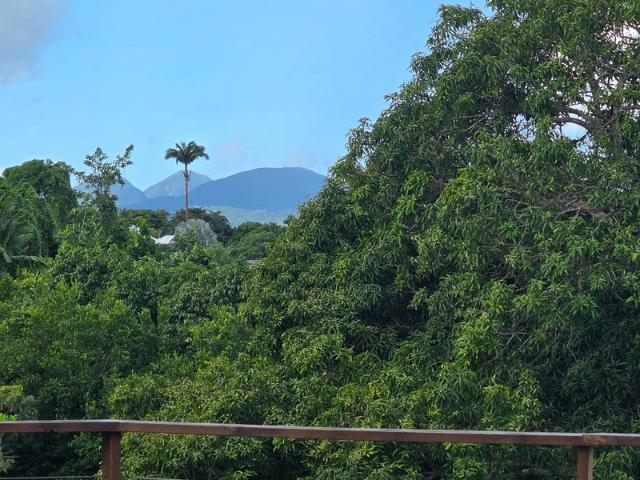 Maison vente à Guadeloupe