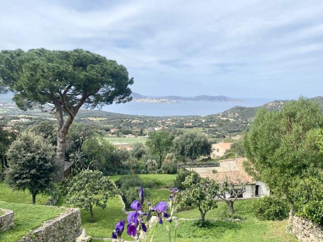 Villa vente à Calvi, Lumio