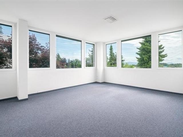 Büro mieten in Crissier, Waadt