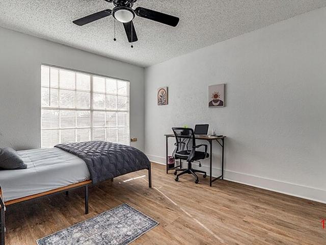 Room for rent in Dallas, Texas