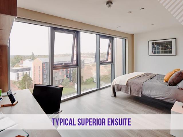 Room for rent in Cheylesmore, West Midlands