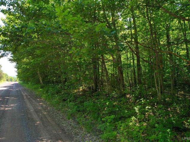 Land for sale in Houghton, Michigan