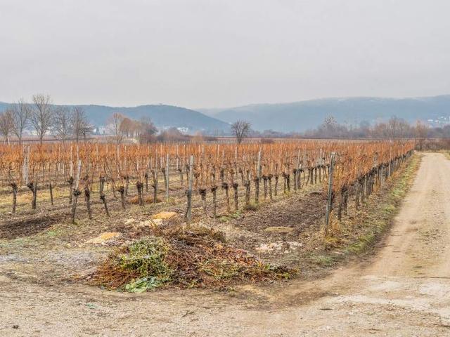 Grundstück kaufen in Baden, Niederösterreich