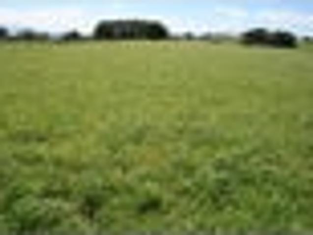 House for sale in South Taranaki District, Taranaki