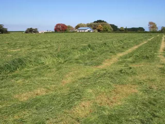 House for rent in Matua Subdivision, Rodney