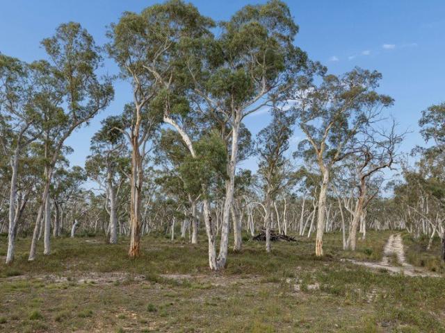 Cottage for sale in New South Wales