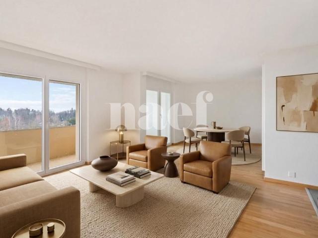 Apartment mieten in Neuchâtel, Corcelles (NE)