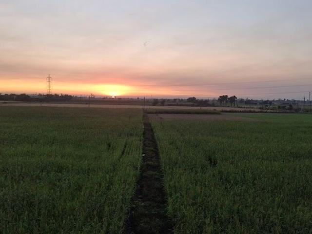 Land for rent in Surat, Gujarat