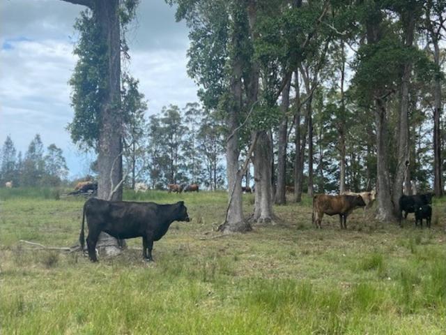 Property for sale in East Kempsey, New South Wales