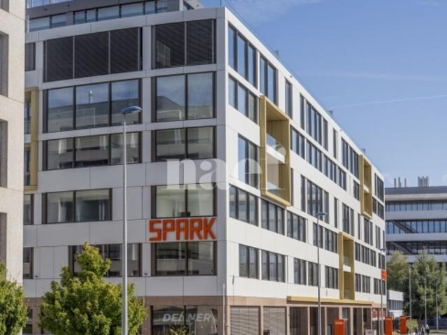 Atelier mieten in Plan-les-Ouates