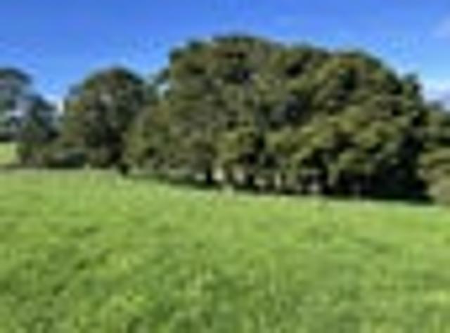 Land for sale in Awhitu, Oroua County