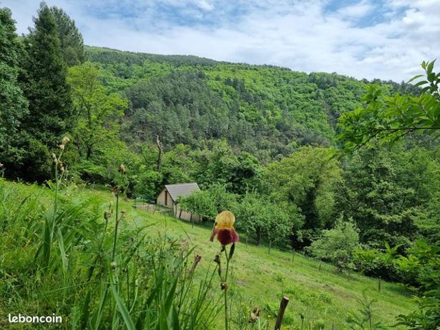 Maison vente à Florac, Saint-etienne-vallée-française