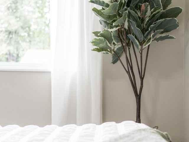 Apartment for rent in Surrey, British Columbia