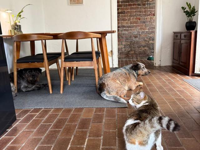 Room for rent in Sydney, New South Wales