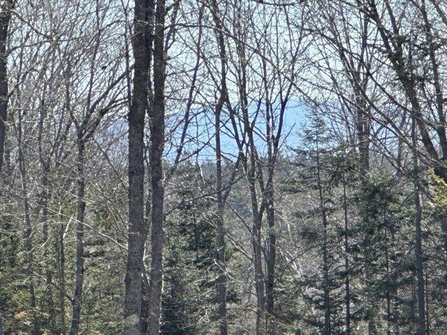 Land for sale in Surry, Maine