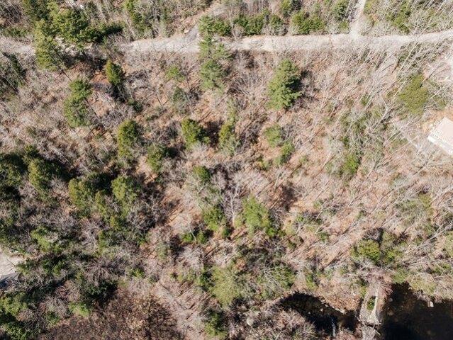 Land for sale in Surry, Maine