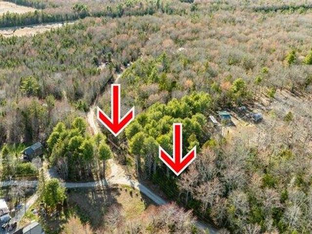 Land for sale in Surry, Maine