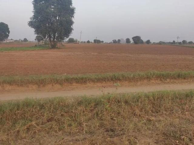 Land for rent in Poona, National Capital Territory Of Delhi