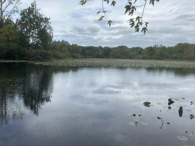 Land for sale in Kalamazoo, Kalamazoo County