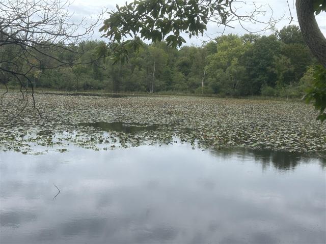 Land for sale in Comstock Charter Township, Kalamazoo County