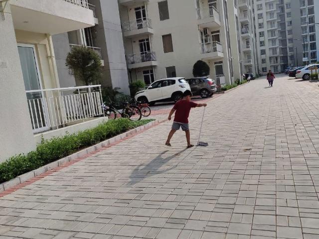 Flat for rent in Chandigarh, Union Territory Of Chandigarh