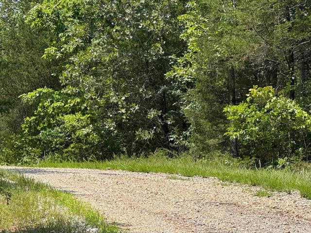 Land for sale in Ark