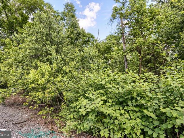 Land for sale in Liverpool, Pennsylvania