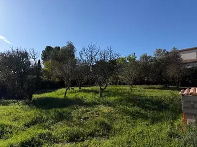 Terrain vente à Montpellier, Sussargues
