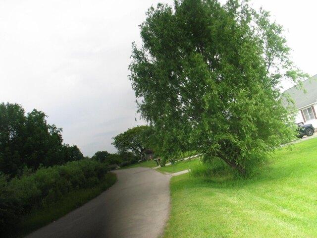 Land for sale in Onsted, Michigan