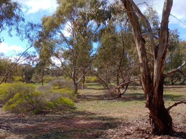 Cottage for sale in Wedderburn, Victoria