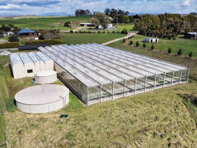 Cottage for sale in Harford, Tasmania