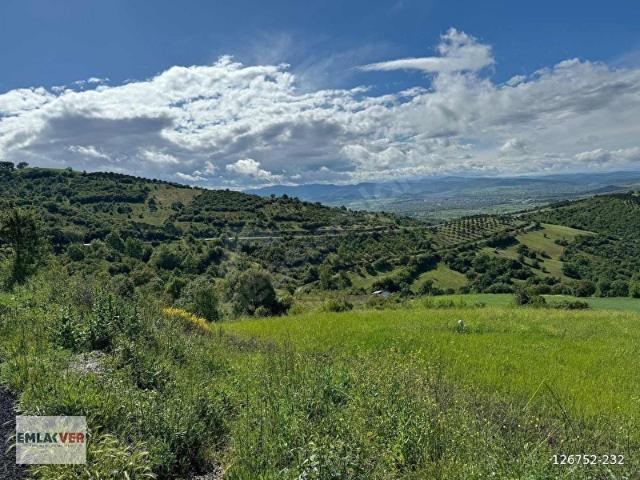 Recepköy, Kepsut içerisinde satılık Arsa