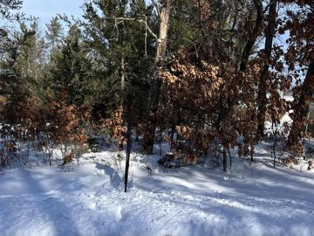 Land for sale in Saint Helen, Michigan