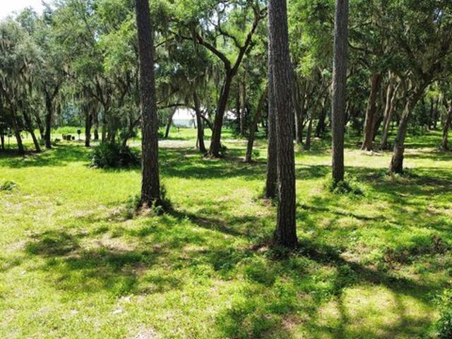 Land for sale in Georgia