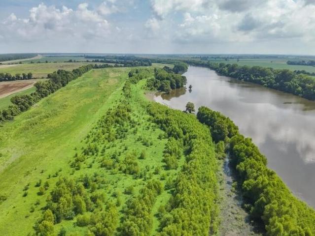Land for sale in Hickman, Kentucky
