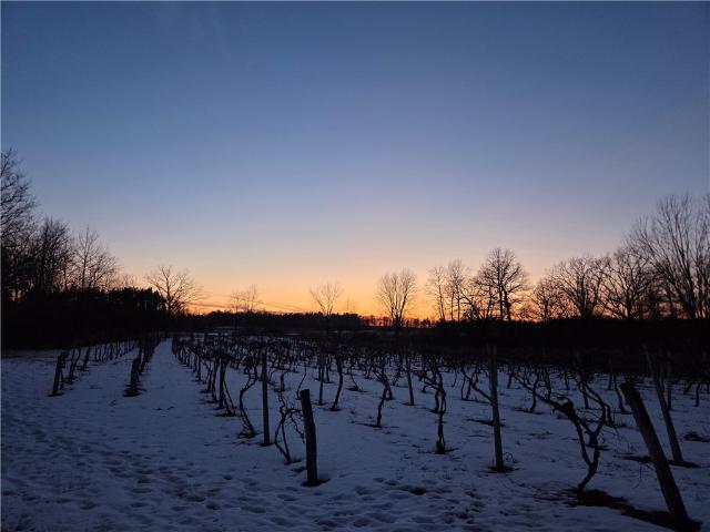 Land for sale in Bellona, New York