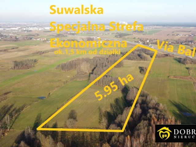 Grunt na sprzedaż w Suwałki, Podlaskie