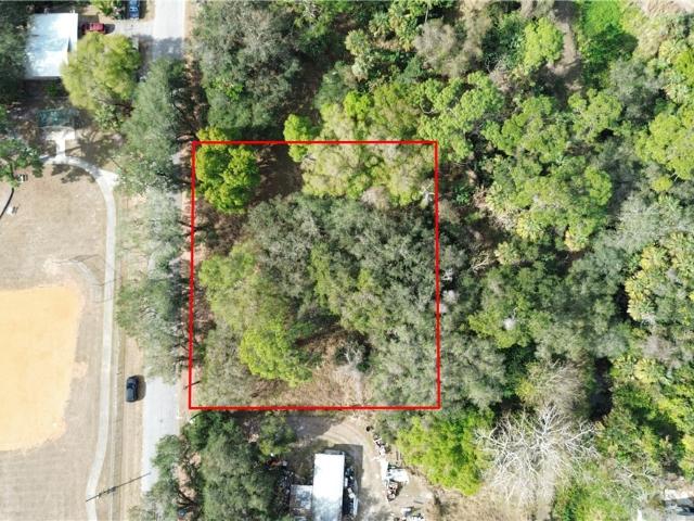 Land for sale in Labelle, Florida