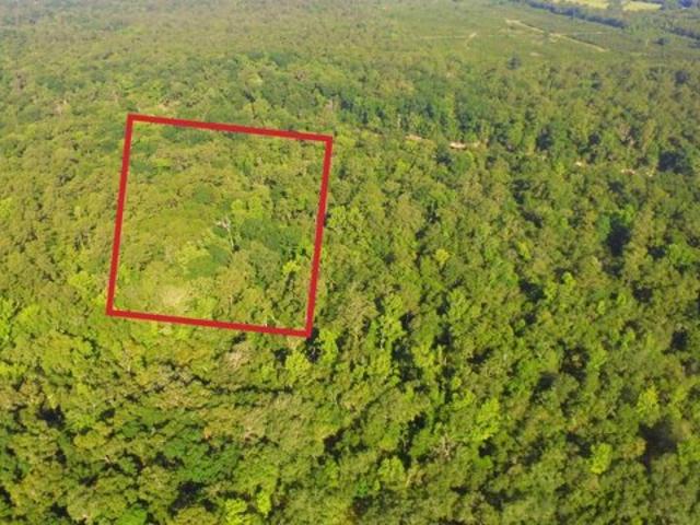 Land for sale in Live Oak