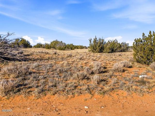 Land for sale in Navajo, Arizona