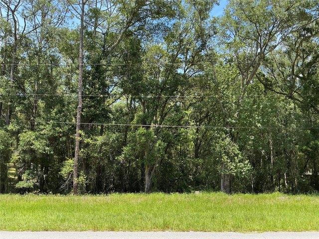 Land for sale in Dunnellon, Florida