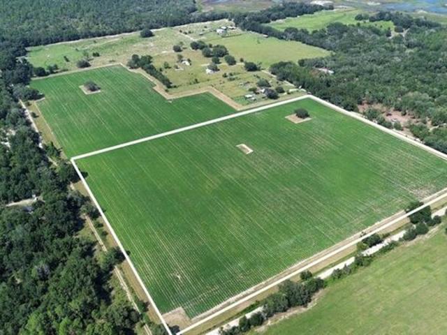 Land for sale in Newberry, Florida