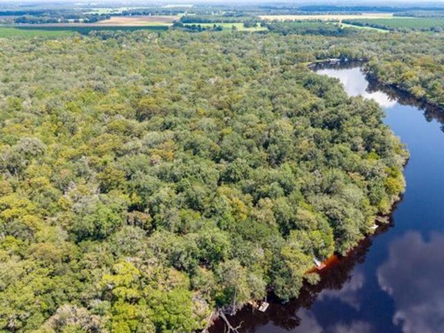 Land for sale in Bell, Gilchrist County