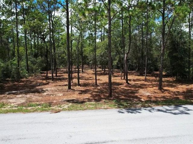 Land for sale in Dunnellon, Florida