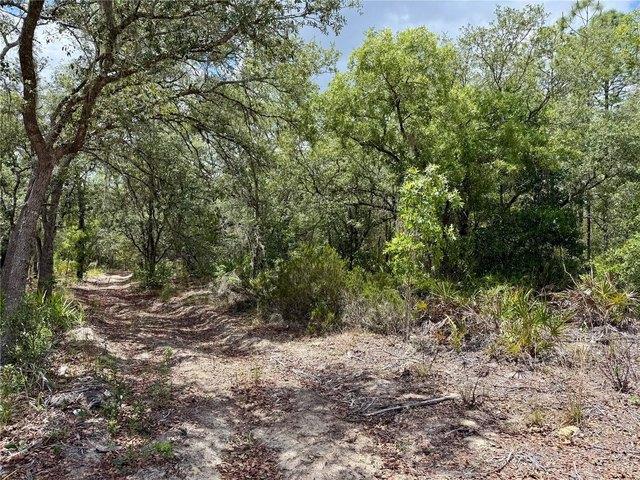 Land for sale in Archer, Florida