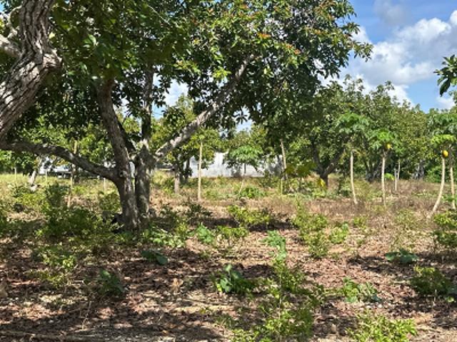 House for sale in Homestead, Florida