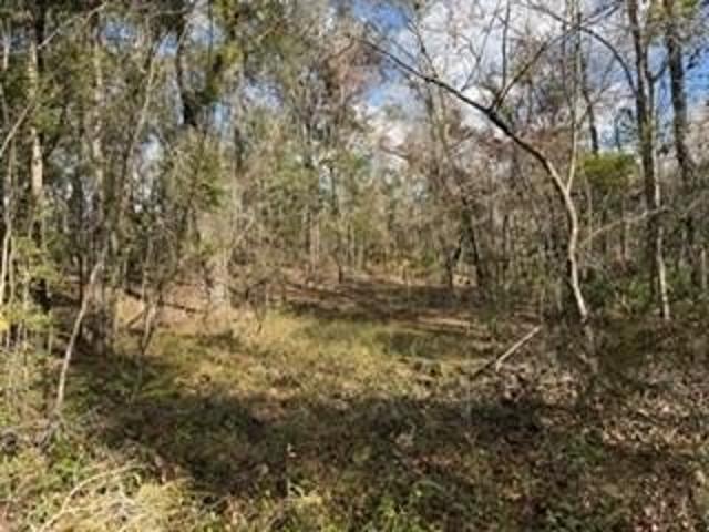 Land for sale in Bell, Florida