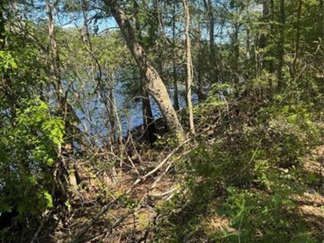 Land for sale in Bell, Florida