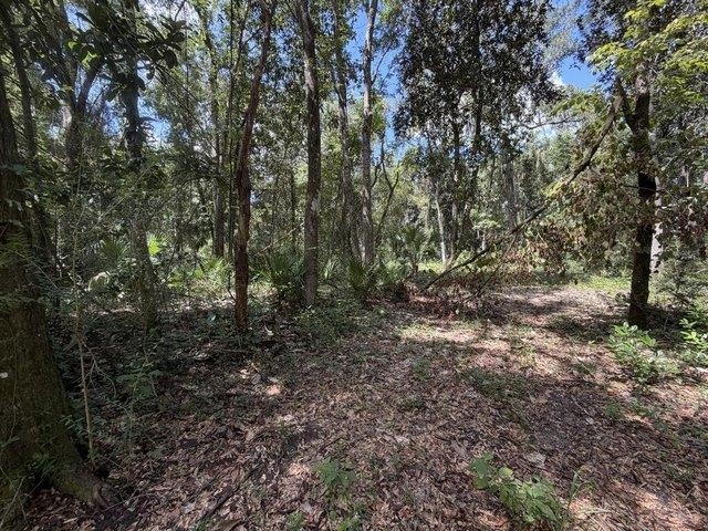 Land for sale in Chiefland, Levy County